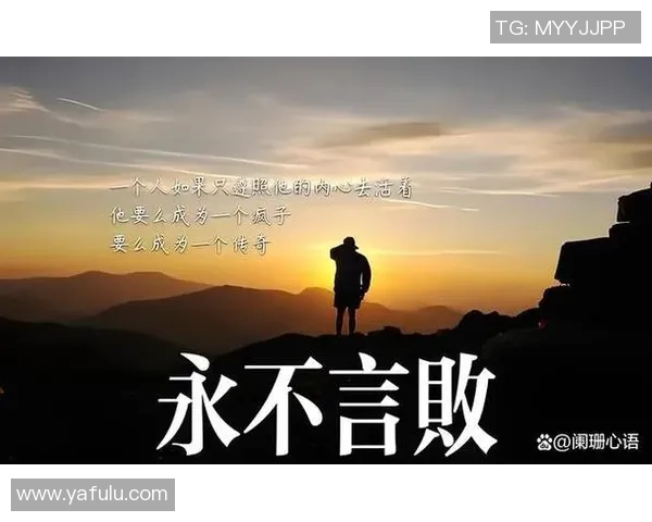 专访杨强：深入探讨篮球成功背后的秘诀与心路历程