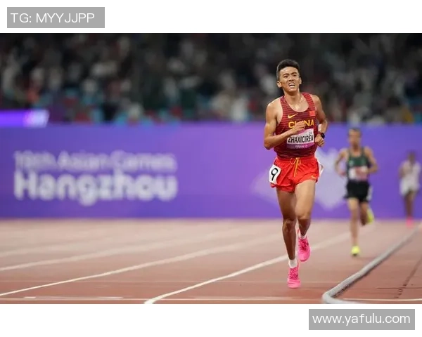 亚运会特别报道：西安网球队拼搏历程与荣耀瞬间的背后故事